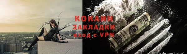 шишки Шарыпово