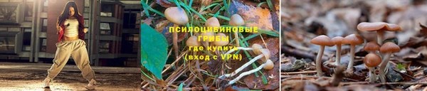 мескалин Протвино