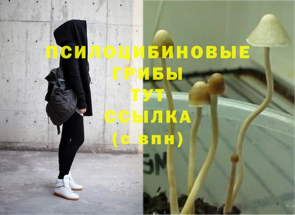 каннабис Алексин