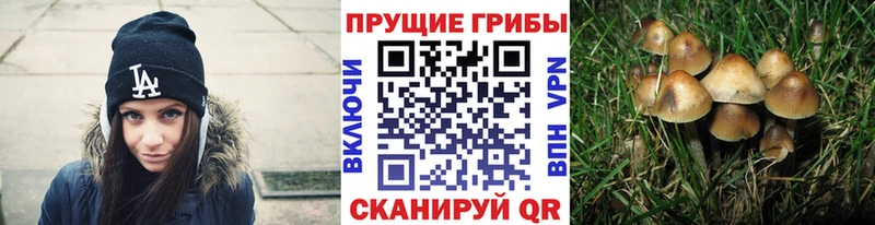 это какой сайт  Лихославль  Галлюциногенные грибы мухоморы 